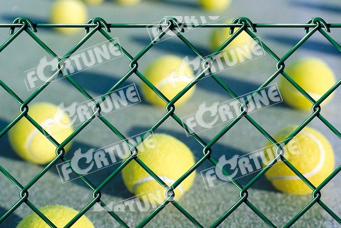 CHAIN LINK FENCE